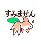 金魚と文字（個別スタンプ：11）