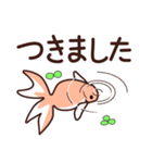 金魚と文字（個別スタンプ：16）