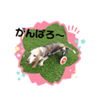 びぃよんちゃん（個別スタンプ：6）