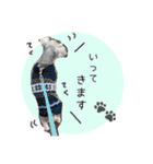 シュナウザーまっく＆うたまる（個別スタンプ：19）