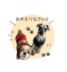 シュナウザーまっく＆うたまる（個別スタンプ：35）