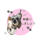 シュナウザーまっく＆うたまる（個別スタンプ：39）