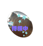 わん♡LOVE（個別スタンプ：10）