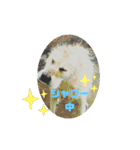 わん♡LOVE（個別スタンプ：38）