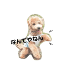 トイプーのテオ（個別スタンプ：5）