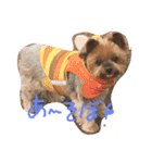 愛犬もずくちゃん´•ﻌ•`（個別スタンプ：14）