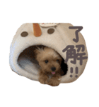 そちゃんのこびちゃん^ - ^（個別スタンプ：3）