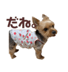 そちゃんのこびちゃん^ - ^（個別スタンプ：5）