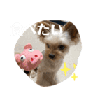 そちゃんのこびちゃん^ - ^（個別スタンプ：8）