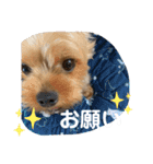 そちゃんのこびちゃん^ - ^（個別スタンプ：9）