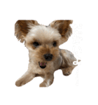 そちゃんのこびちゃん^ - ^（個別スタンプ：10）