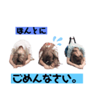 ぎゃるたち（個別スタンプ：4）
