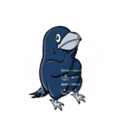 クックー•ザ•カラス (シリーズ 02)（個別スタンプ：4）