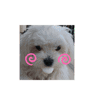それぞれ思うこと。。w（個別スタンプ：1）