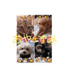 それぞれ思うこと。。w（個別スタンプ：13）