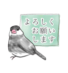 文鳥スタンプ 敬語（個別スタンプ：3）