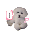 ひなちゃんときどきももちゃん（個別スタンプ：1）