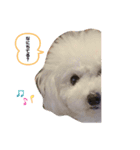 ひなちゃんときどきももちゃん（個別スタンプ：2）