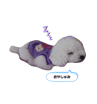 ひなちゃんときどきももちゃん（個別スタンプ：3）