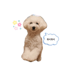 ひなちゃんときどきももちゃん（個別スタンプ：8）