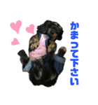 ダックスフント犬まろろNO2（個別スタンプ：3）