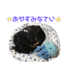 ダックスフント犬まろろNO2（個別スタンプ：9）