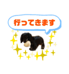 ダックスフント犬まろろNO2（個別スタンプ：10）