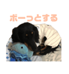 ダックスフント犬まろろNO2（個別スタンプ：11）