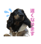 ダックスフント犬まろろNO2（個別スタンプ：14）