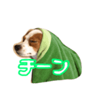 渕上コロンスタンプ（個別スタンプ：4）