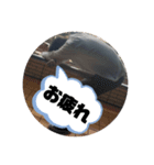 Asano Style（個別スタンプ：4）