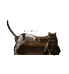 mkth1（個別スタンプ：3）