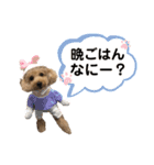 ちゃちゃと日常スタンプ（個別スタンプ：2）