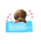 ちゃちゃと日常スタンプ（個別スタンプ：10）