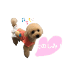 ちゃちゃと日常スタンプ（個別スタンプ：13）