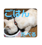 ミヌエットのしずく②（個別スタンプ：5）