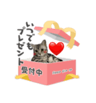 我が王のスタンプ（個別スタンプ：2）
