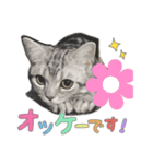 我が王のスタンプ（個別スタンプ：8）