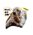 プラチナゴールデンレトリバー ゆずこ君（個別スタンプ：34）