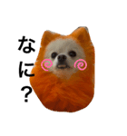 オレンジの犬（個別スタンプ：4）