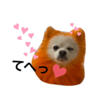 オレンジの犬（個別スタンプ：12）