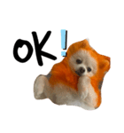 オレンジの犬（個別スタンプ：13）