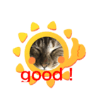 ねこのスタンプ♬（個別スタンプ：4）