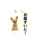 とらきちのきもち1（個別スタンプ：7）
