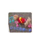 トイプードル べりーの日常会話 編（個別スタンプ：9）