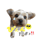 ハルちゃんの日常だよ（個別スタンプ：14）