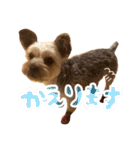 ハルちゃんの日常だよ（個別スタンプ：25）