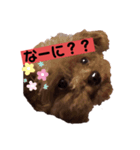 わんわんの気持ち（個別スタンプ：2）
