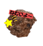 わんわんの気持ち（個別スタンプ：3）