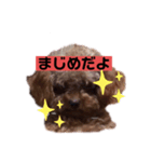 わんわんの気持ち（個別スタンプ：8）